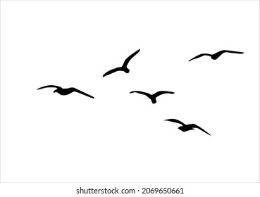 black flock of birds vector 