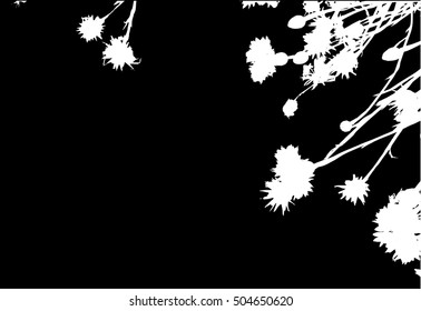 Black floral background, abstract vector