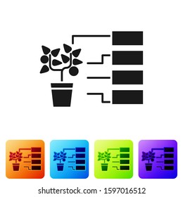 Black Flower analysis icon isolated on white background. Set icons in color square buttons. Vector Illustration