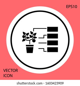 Black Flower analysis icon isolated on red background. White circle button. Vector Illustration