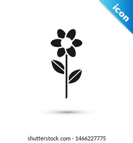 Black Flower icon isolated on white background.  Vector Illustration