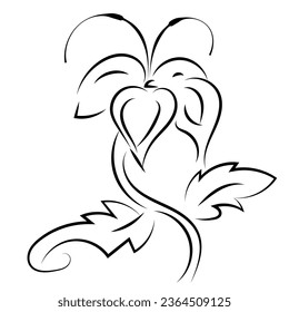 black flower line corner on white background For decorating edges, decorating paper corners.
