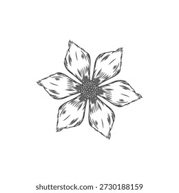 ilustração de linha de flor preta sem fundo