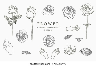 Black flower logo collection with rose,leaves,geometric.Vector illustration for icon,logo,sticker,printable and tattoo