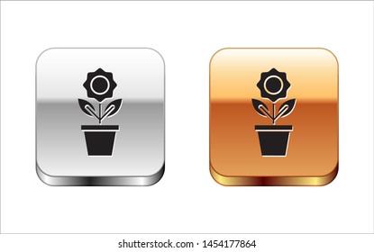 Black Flower in pot icon isolated on white background. Plant growing in a pot. Potted plant sign. Silver-gold square button. Vector Illustration