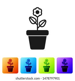 Black Flower in pot icon isolated on white background. Plant growing in a pot. Potted plant sign. Set icon in color square buttons. Vector Illustration