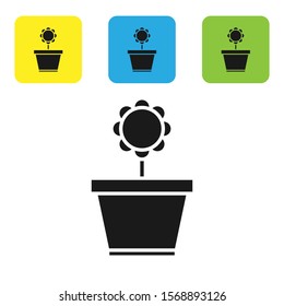 Black Flower in pot icon isolated on white background. Plant growing in a pot. Potted plant sign. Set icons colorful square buttons. Vector Illustration