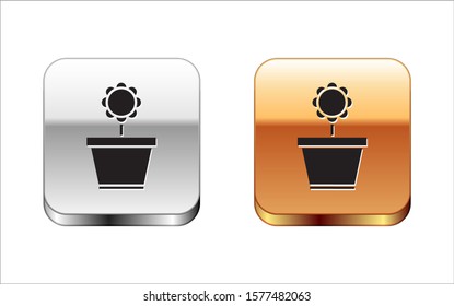 Black Flower in pot icon isolated on white background. Plant growing in a pot. Potted plant sign. Silver-gold square button. Vector Illustration