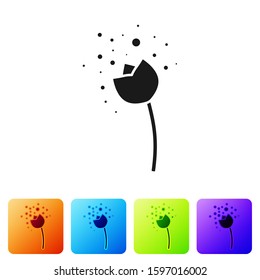 Black Flower producing pollen in atmosphere icon isolated on white background. Set icons in color square buttons. Vector Illustration