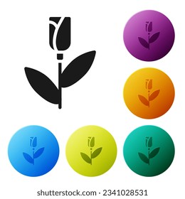 Black Flower rose icon isolated on white background. Set icons in color circle buttons. Vector