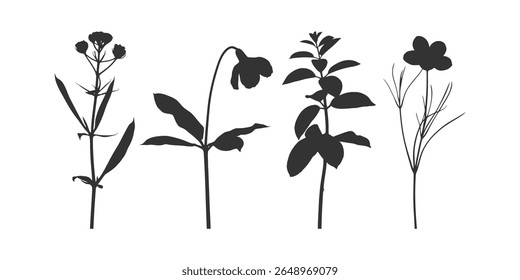 Black Flower Silhouettes Featuring Natural Plant Shapes and Leaf Structures for Art Use, Delicate Floral Silhouettes with Graceful Stems and Blooms for Creative Nature Art
