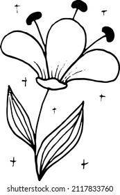A black flower. A simple doodle illustration drawn by hand.