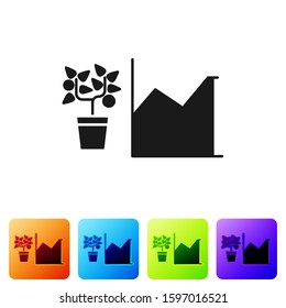 Black Flower statistics icon isolated on white background. Set icons in color square buttons. Vector Illustration