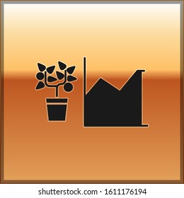 Black Flower statistics icon isolated on gold background.  Vector Illustration