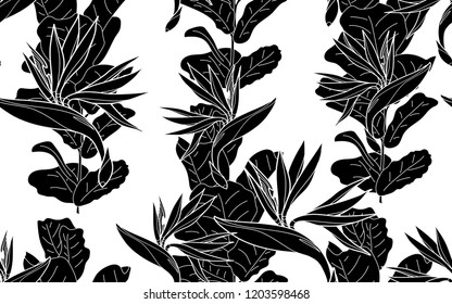 Black flowers and ficus pattern. Vector illustration. Botanical seamless wallpaper. Digital nature art. Cartoon style sketch. White background.