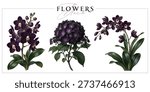 Black flowers isolated on a white background. Vintage painting style illustration.