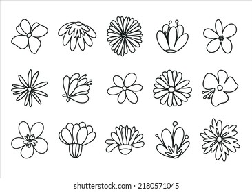 Flores negras en un estilo lineal sobre un fondo blanco. Flores salvajes. Elementos aislados.