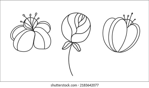 Black flowers in a linear style on a white background. Wildflowers set. Isolated elements.