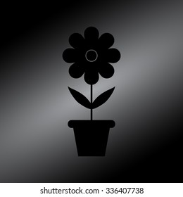 Black flowers in pots