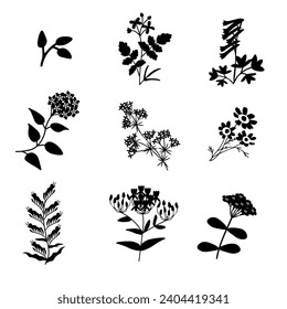 Black flowers silhouette vector set