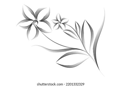 Black flowers sketch drawing with line art on white backgrounds.