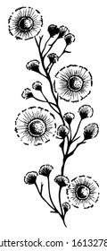 Black flowers, spring time, illustration