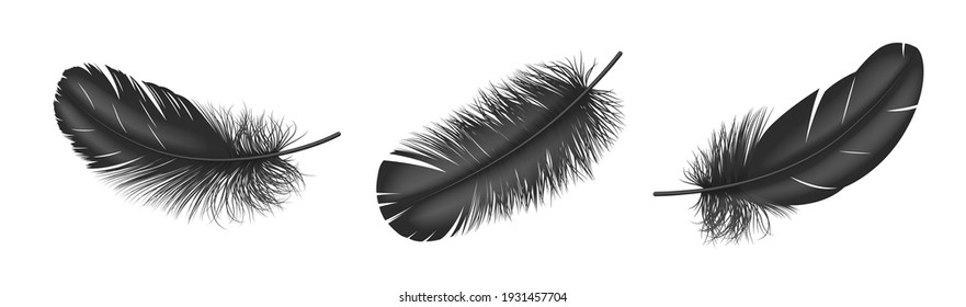 Black fluffy feather set realistic isolated on white background. Plume from wing of bird, detailed design element. 3d vector illustration