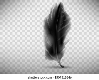 Black fluffy feather with shadow vector realistic illustration, isolated on transparent background. Feather from wing of bird or fallen angel, symbol of softness, design element