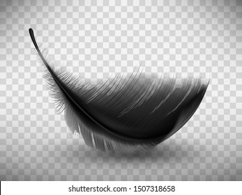 Black fluffy feather with shadow vector realistic illustration, isolated on transparent background. Feather from wing of bird or fallen angel, symbol of softness, design element