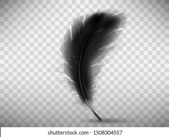 Black fluffy feather with shadow vector realistic illustration, isolated on transparent background. Feather from wing of bird or fallen angel, symbol of softness, design element