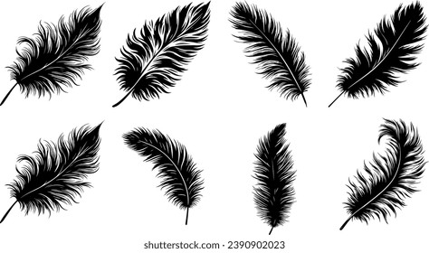 Black Fluffy Feather Silhouette Isolated On White Background Vector EPS
