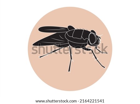 
Black fly. Insect. Black fly silhouette on orange circle