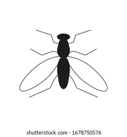 Mosca negra sobre fondo blanco