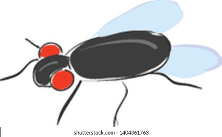 A black fly with red eyes, five legs, and two wings, vector, color drawing or illustration. 