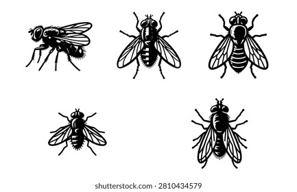 Black fly silhouette vector collection, housefly insect icons in different views, isolated monochrome fly illustration set