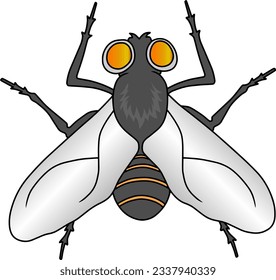 black fly  vector illustration isolated on white background