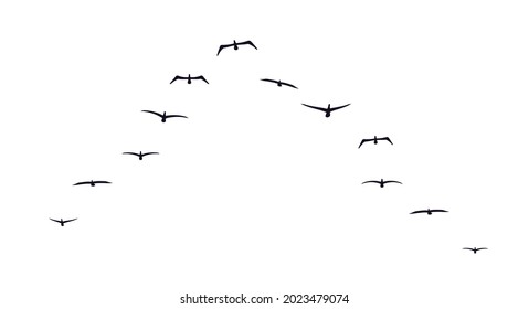 Black flying birds flock silhouette. School of birds flying forward. Flat vector illustration isolated on white background.