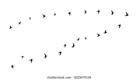 Black flying birds flock silhouette. School of birds flying to the right. Flat vector illustration isolated on white background.