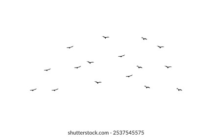 Black Flying birds silhouette Design. 