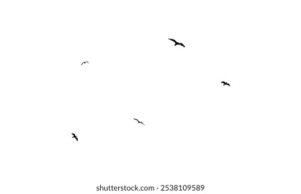 Black Flying birds silhouette And Illustration. 