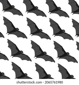 Black Flying Fox Bat In White Background Vector Illustration