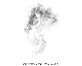 Black fog smoke smog on a white background. PNG effect. Vector illustration