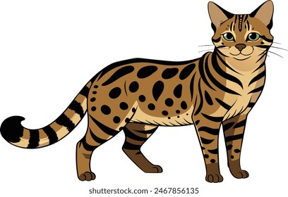 A black footed cat vector artwork illustration