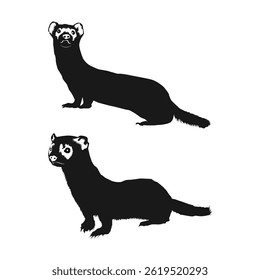 black footed ferret silhouette on white background vol 04