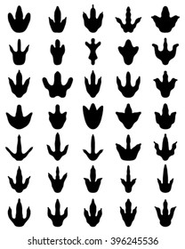 Black footprint of dinosaur on a white background, vector