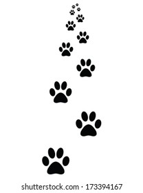 Black footprints of  cats, vector illustration