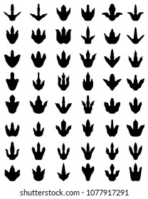 Black footprints of dinosaurs on a white background