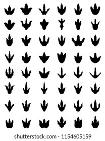 Black footprints of dinosaurs on a white background