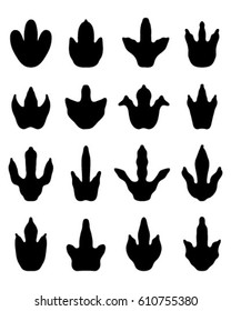 Black footprints of dinosaurs on a white background, vector