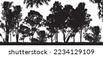 a black  forest of Australian gum tress with white background